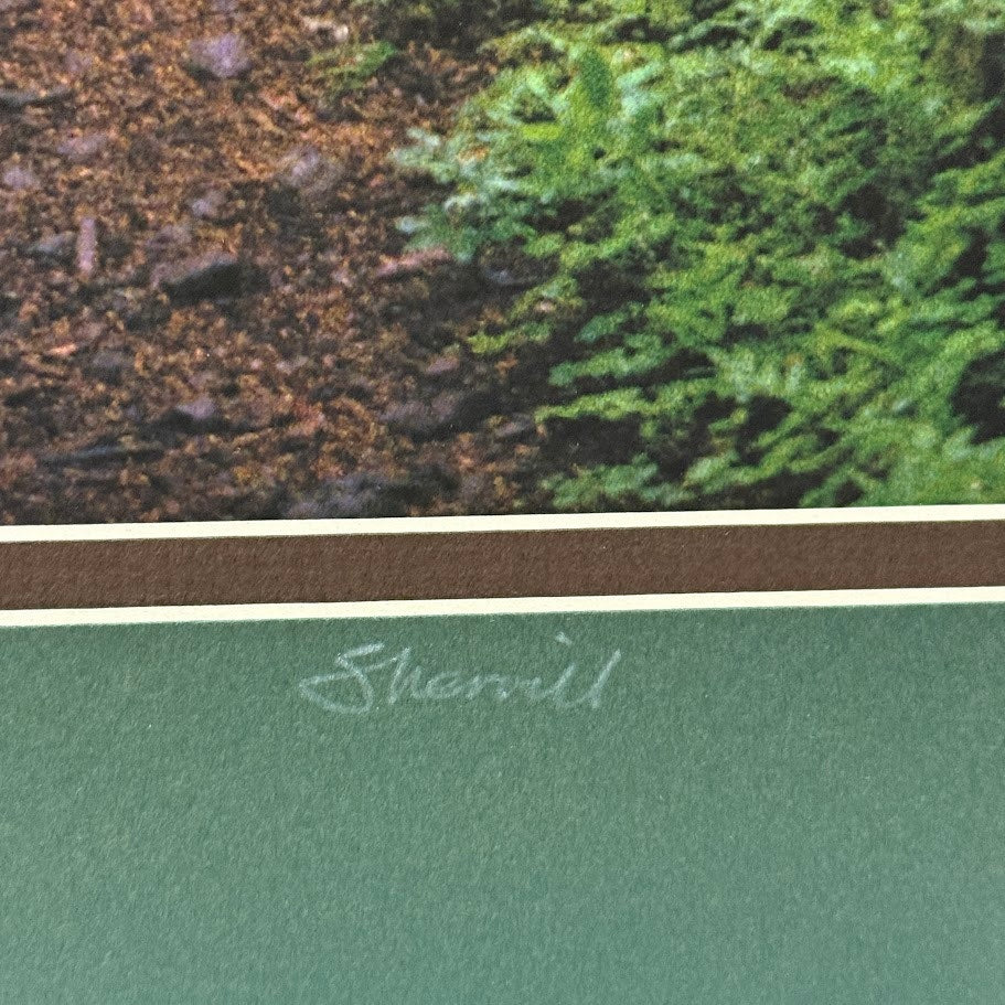 Larch Mountain Trail, Mt. Hood National Forest – Signed Sherrill Photo Print 20" x 16"