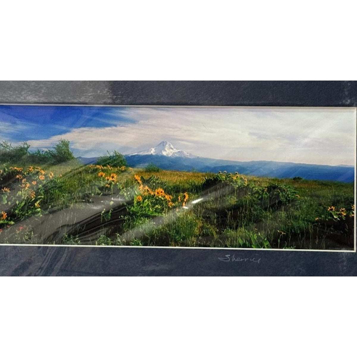 Mt. Hood Balsamroot, Wildflower Meadow – Signed Sherrill Photo Print 9.75" x 3.75"