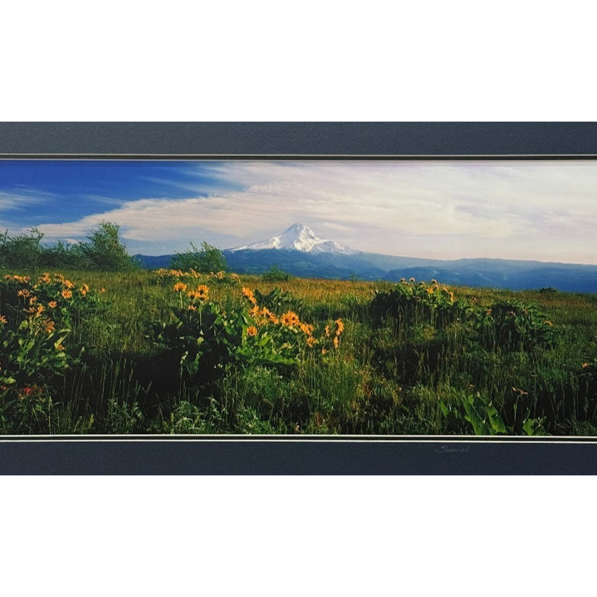Mt. Hood Balsamroot Wildflowers – Signed Sherrill Panorama Photo Print 20" x 10"