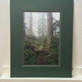 Larch Mountain Trail, Mt. Hood National Forest – Signed Sherrill Photo Print 20" x 16"