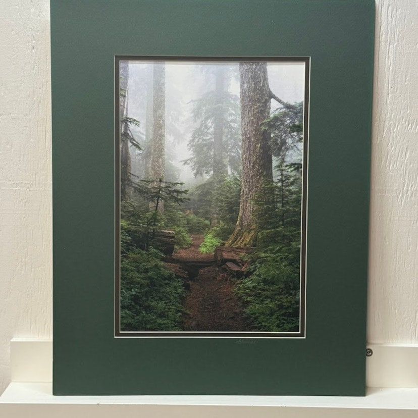 Larch Mountain Trail, Mt. Hood National Forest – Signed Sherrill Photo Print 20" x 16"