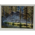 Hoffer Lakes, Forest Reflection – Signed Sherrill Photo Print 8x10