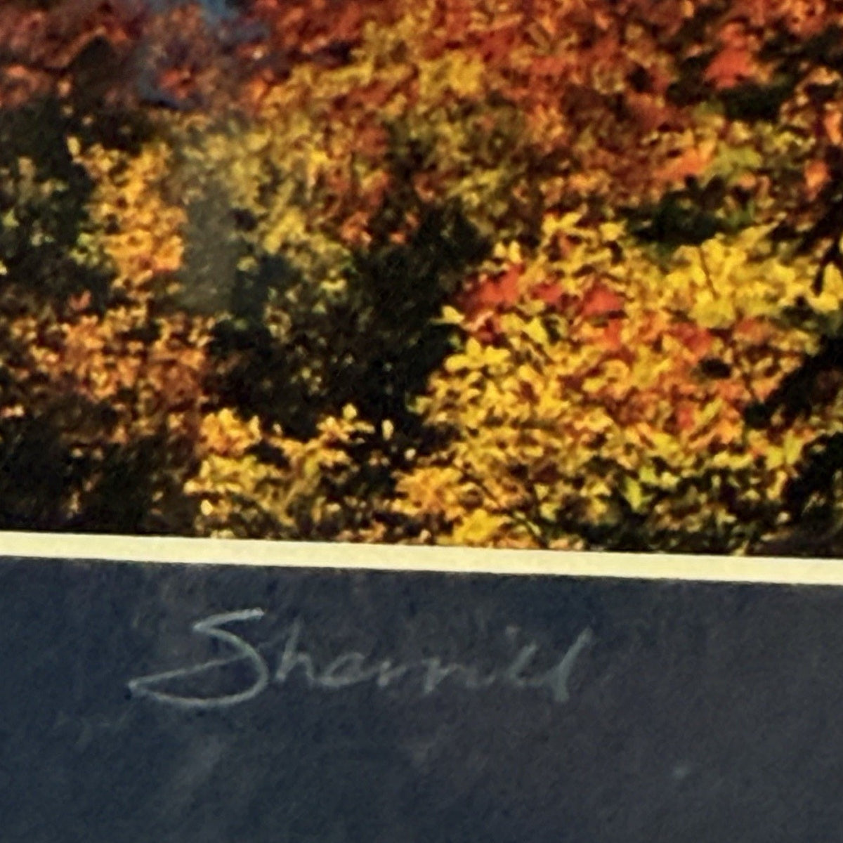 Mt. Hood, Lost Lake Autumn Vertical – Signed Sherrill Photo Print 8x10