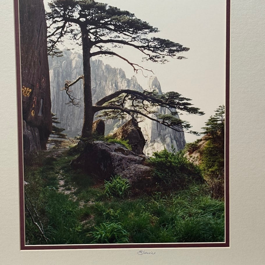 “The Welcome Tree,” Huangshan (Yellow Mountain), China – Signed Sherrill Photo Print 20" x 16"