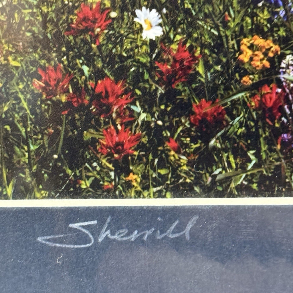 Mt. Hood Wildflower Meadow, Vertical – Signed Sherrill Photo Print 8x10