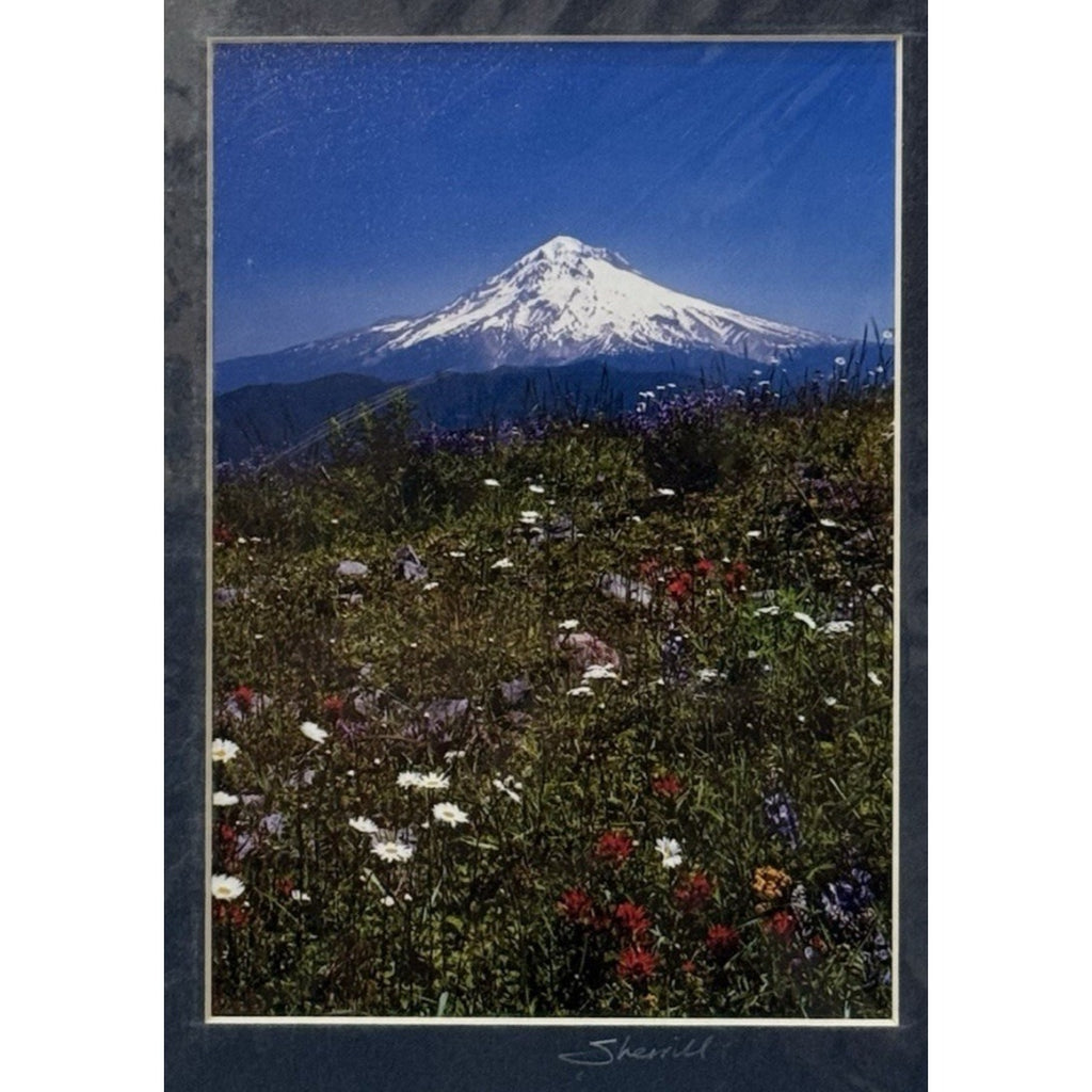 Mt. Hood Wildflower Meadow, Vertical – Signed Sherrill Photo Print 8x10