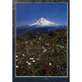 Mt. Hood Wildflower Meadow, Vertical – Signed Sherrill Photo Print 8x10