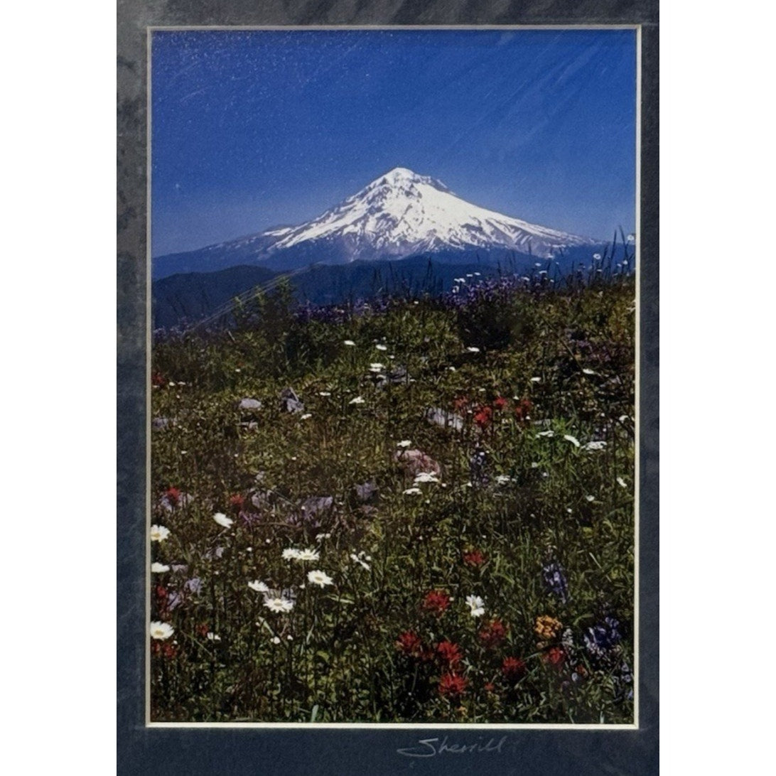 Mt. Hood Wildflower Meadow, Vertical – Signed Sherrill Photo Print 8x10