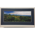 Mt. Hood Balsamroot Wildflowers – Signed Sherrill Panorama Photo Print 20" x 10"
