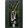 Triple Falls, Columbia River Gorge – Signed Sherrill Photo Print 20" x 8"