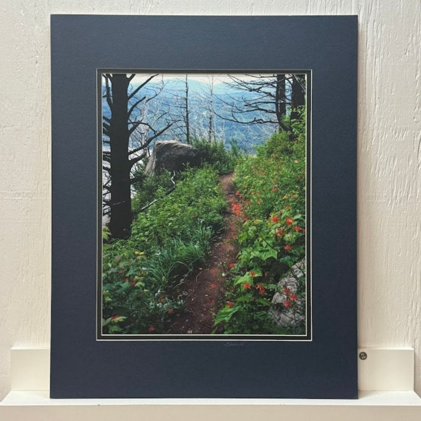 Angels Rest Trail, Columbia River Gorge – Signed Sherrill Photo Print 20" x 16"