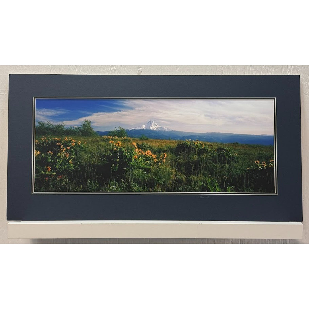Mt. Hood Balsamroot Wildflowers – Signed Sherrill Panorama Photo Print 24" x 12"