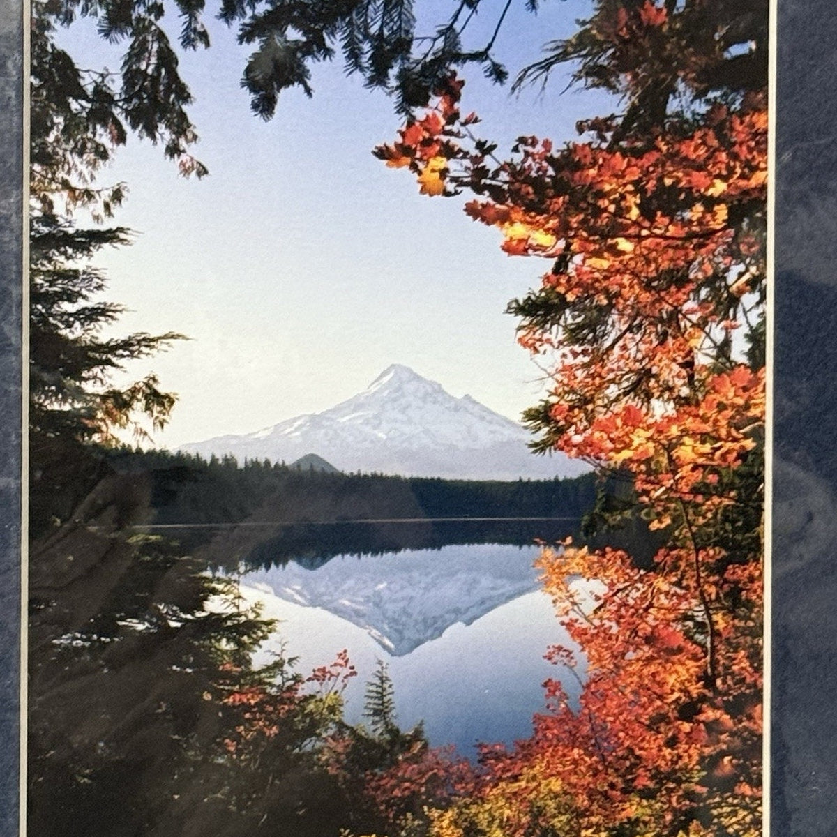 Mt. Hood, Lost Lake Autumn Vertical – Signed Sherrill Photo Print 8x10