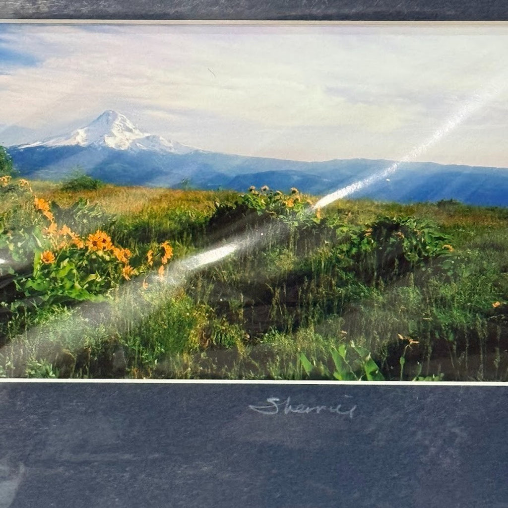 Mt. Hood Balsamroot, Wildflower Meadow – Signed Sherrill Photo Print 9.75" x 3.75"