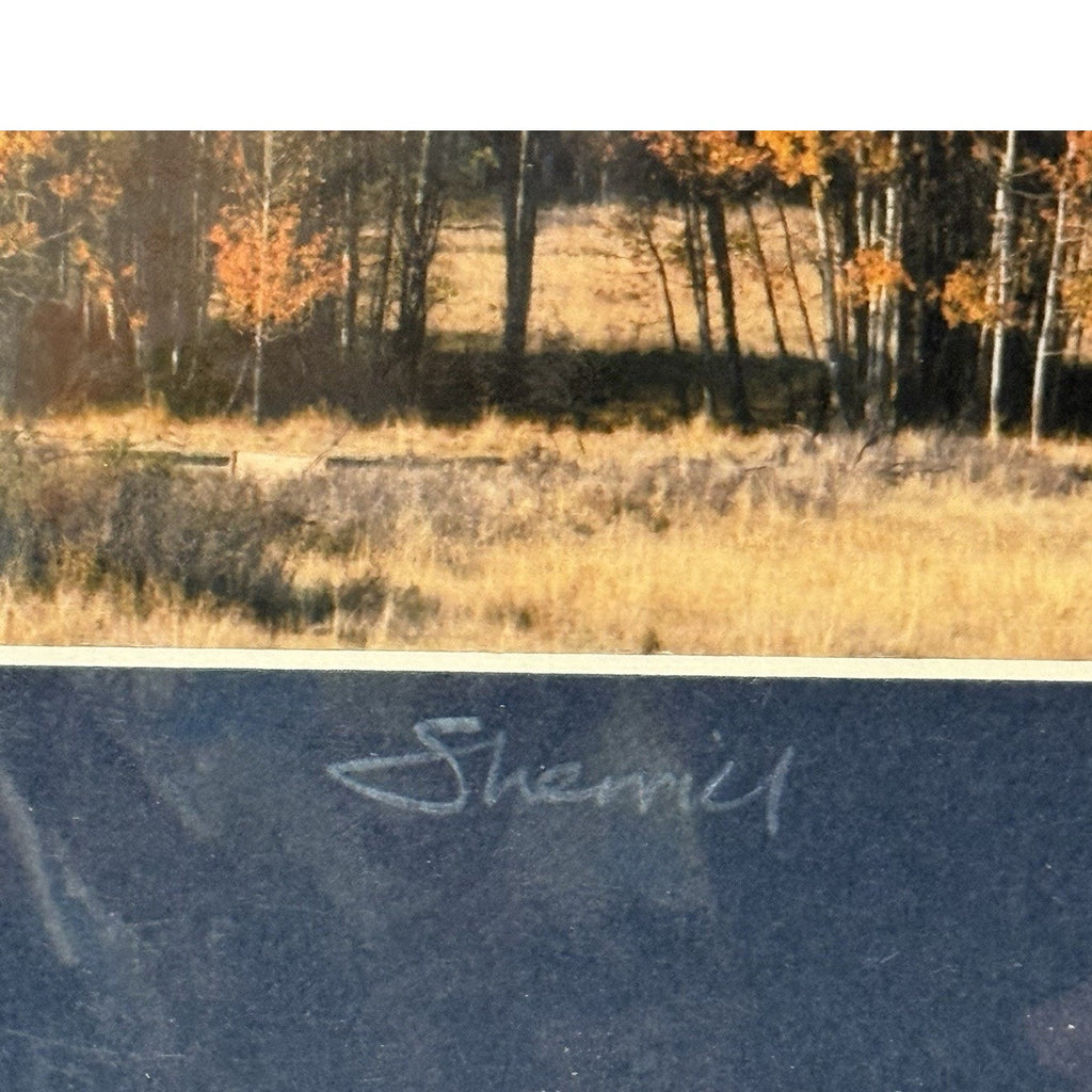 Mt. Adams, Quaking Aspen Autumn – Signed Sherrill Photo Print 8x10