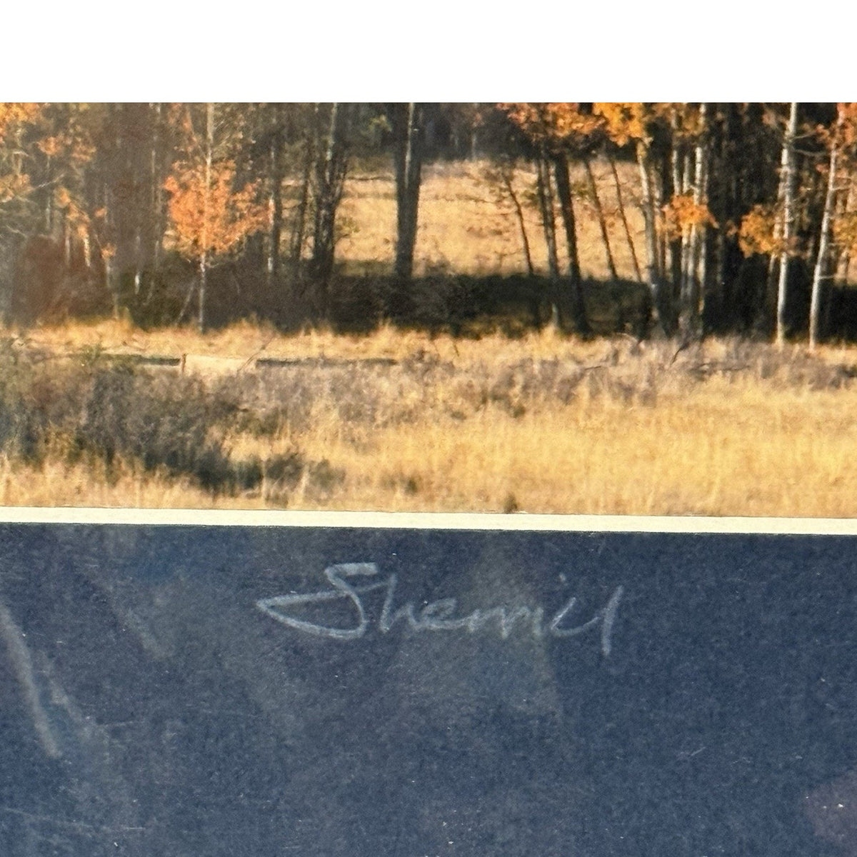 Mt. Adams, Quaking Aspen Autumn – Signed Sherrill Photo Print 8x10