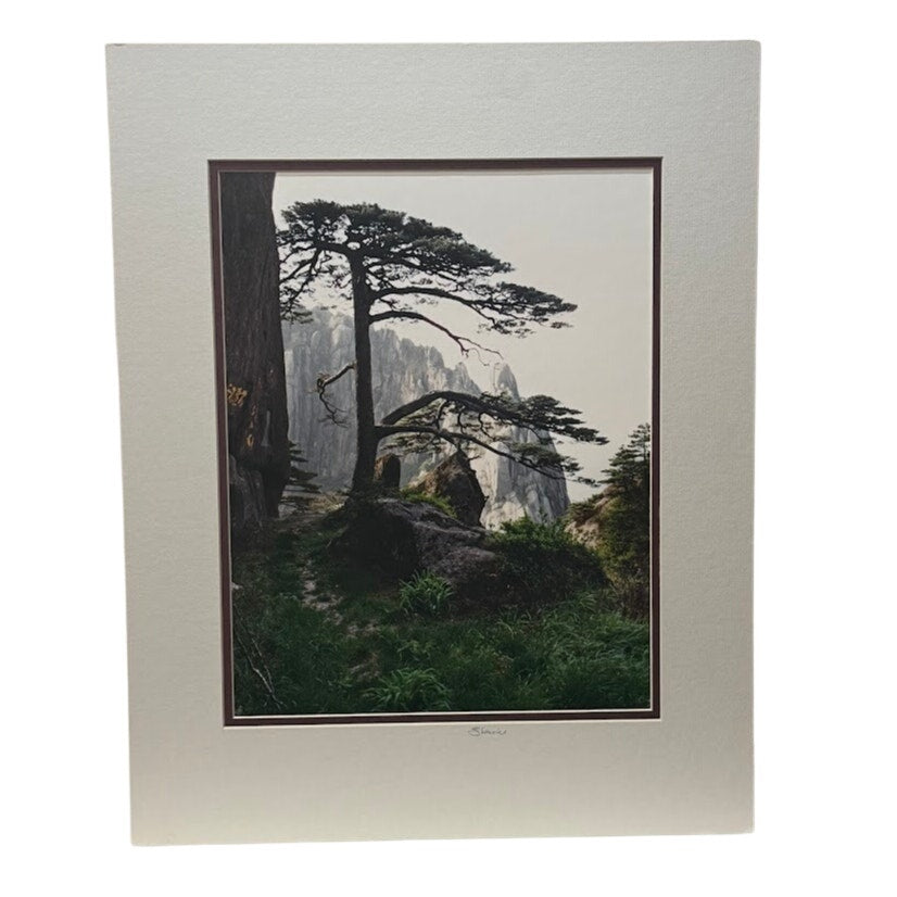 “The Welcome Tree,” Huangshan (Yellow Mountain), China – Signed Sherrill Photo Print 20" x 16"
