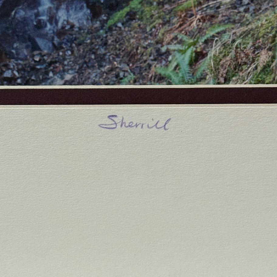 Perdition Trail Waterfall, Columbia River Gorge – Signed Sherrill Photo Print 24" x 20"