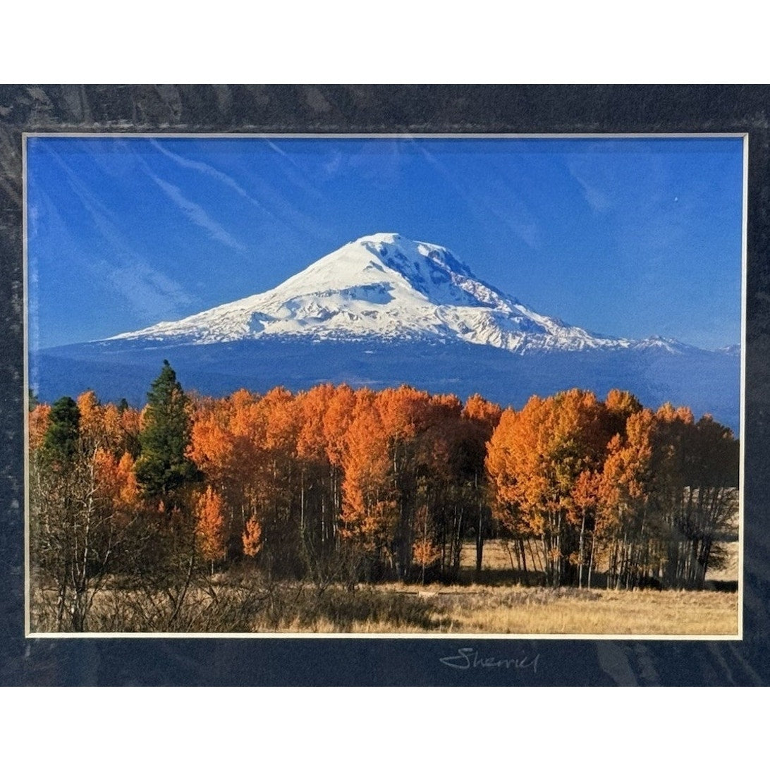 Mt. Adams, Quaking Aspen Autumn – Signed Sherrill Photo Print 8x10