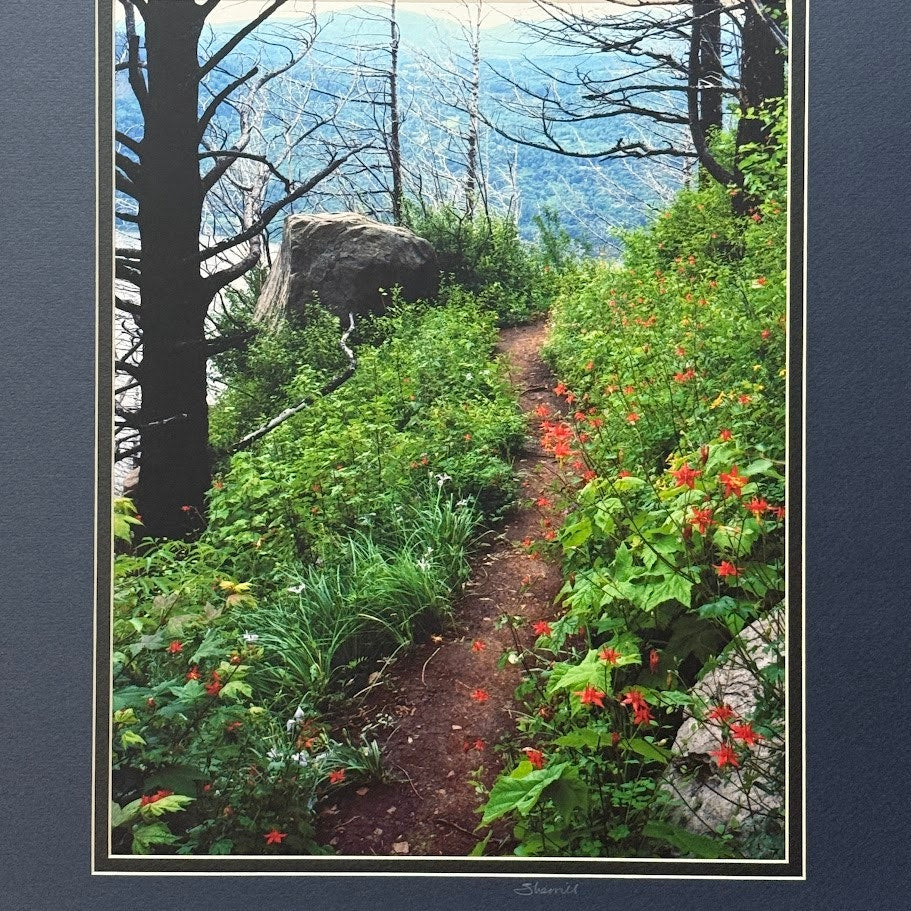 Angels Rest Trail, Columbia River Gorge – Signed Sherrill Photo Print 20" x 16"