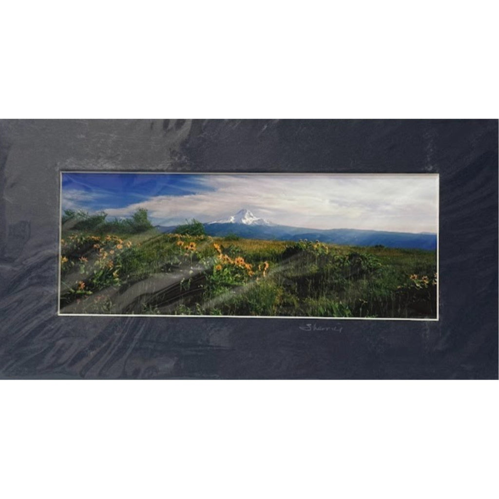 Mt. Hood Balsamroot, Wildflower Meadow – Signed Sherrill Photo Print 9.75" x 3.75"