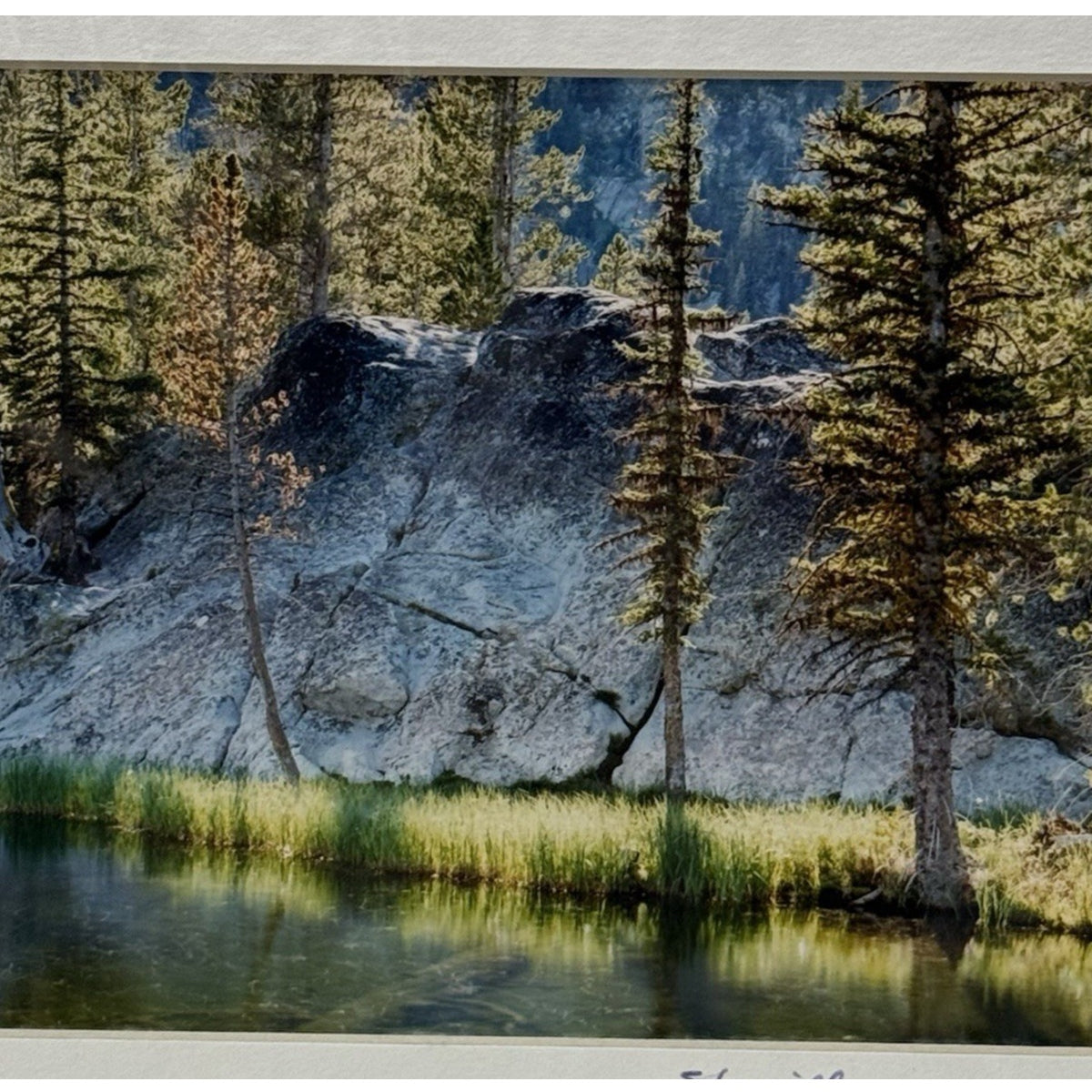 Hoffer Lakes, Forest Reflection – Signed Sherrill Photo Print 8x10