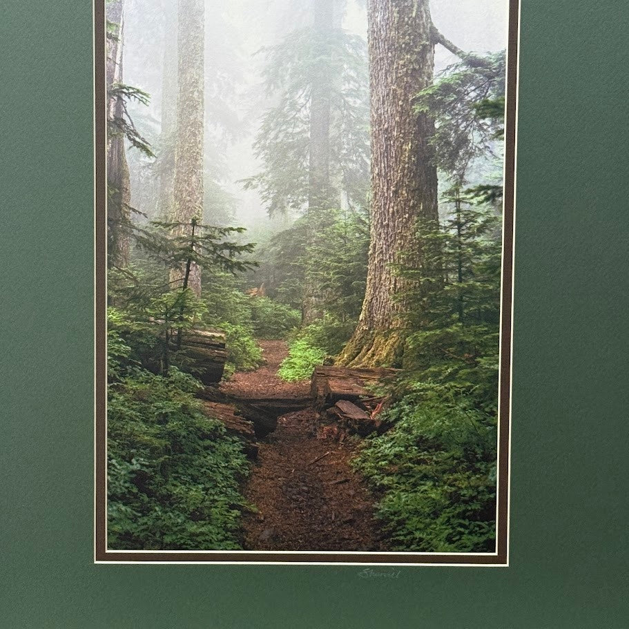 Larch Mountain Trail, Mt. Hood National Forest – Signed Sherrill Photo Print 20" x 16"