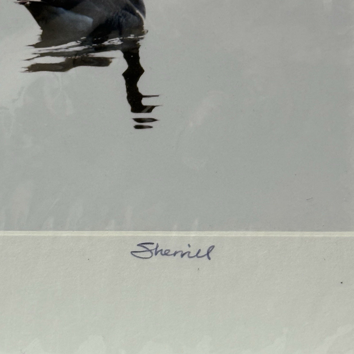 Canada Geese, Black and White Reflection – Signed Sherrill Photo Print 8" x 10"